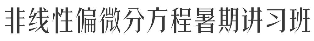 非线性微分方程暑期讲习班