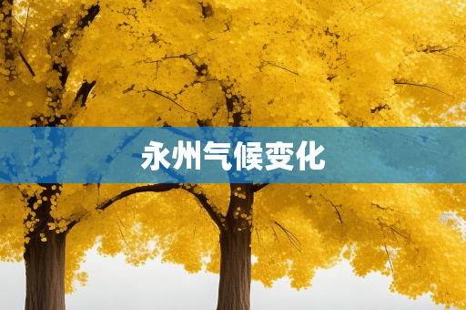 气候知识总结