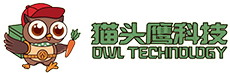 广西猫头鹰科技有限公司