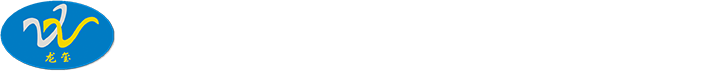 胜利龙玺(山东)石油工程技术服务股份公司