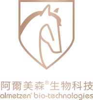 用户登录
