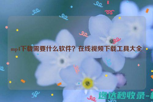 mp4下载需要什么软件？在线视频下载工具大全_站长新闻