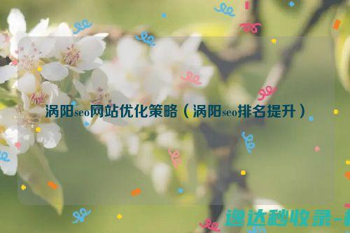 涡阳seo网站优化策略（涡阳seo排名提升）_SEO优化