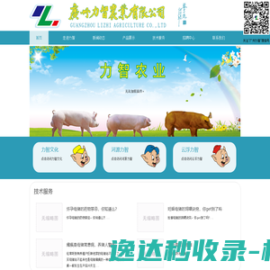 阿拉德游戏百科