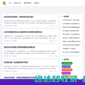启闻网