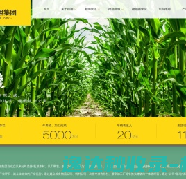 吉林德翔集团