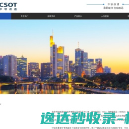 中软政通